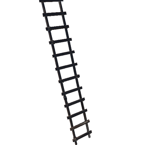 Ladder Type 6